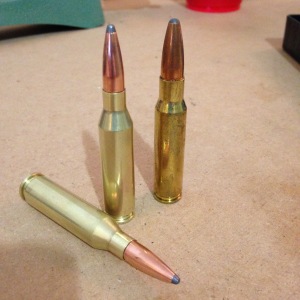 .260 Rem with parent cartridge .308 Win on right.